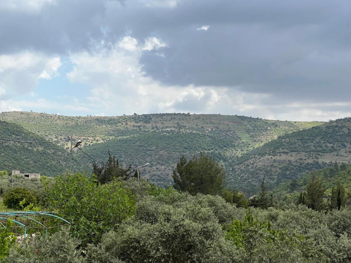 Oak Farm مزرعة الملّول Guest House Ajloun Exterior photo