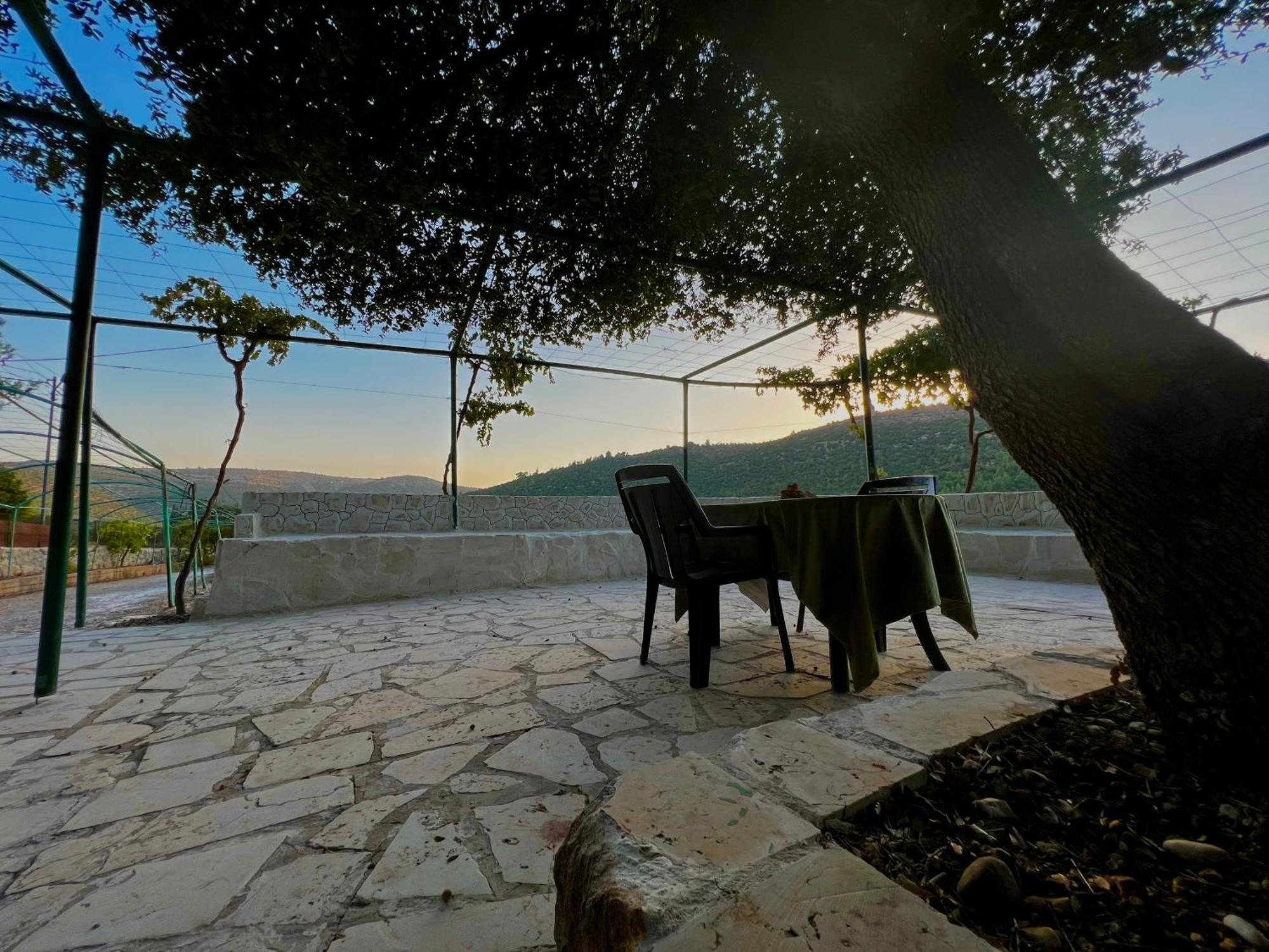Oak Farm مزرعة الملّول Guest House Ajloun Exterior photo