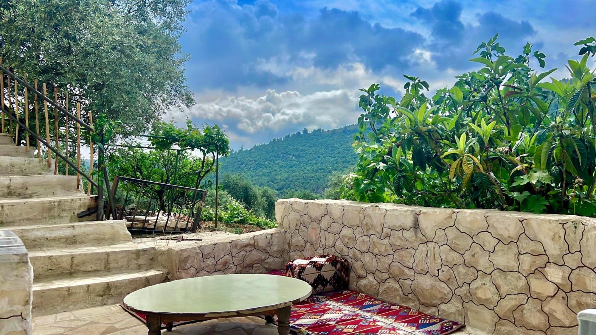 Oak Farm مزرعة الملّول Guest House Ajloun Exterior photo